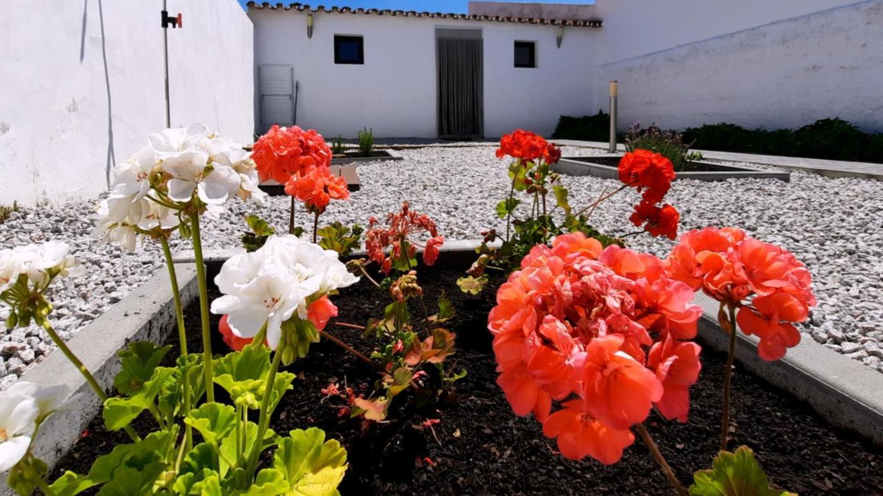Villa Casa Dos Vizinhos - Casas De Taipa São Pedro do Corval Exterior foto